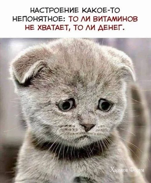 07571896e6171fb42e1d.webp