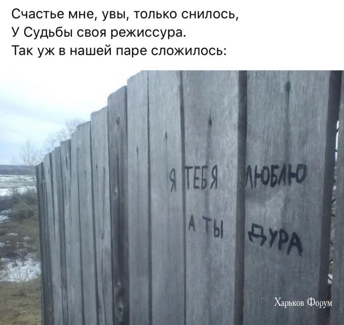 0765b0114ff6331ed.webp