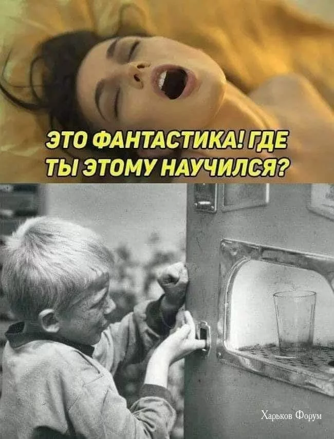 077ae23bbf0b9c230d8a4.webp