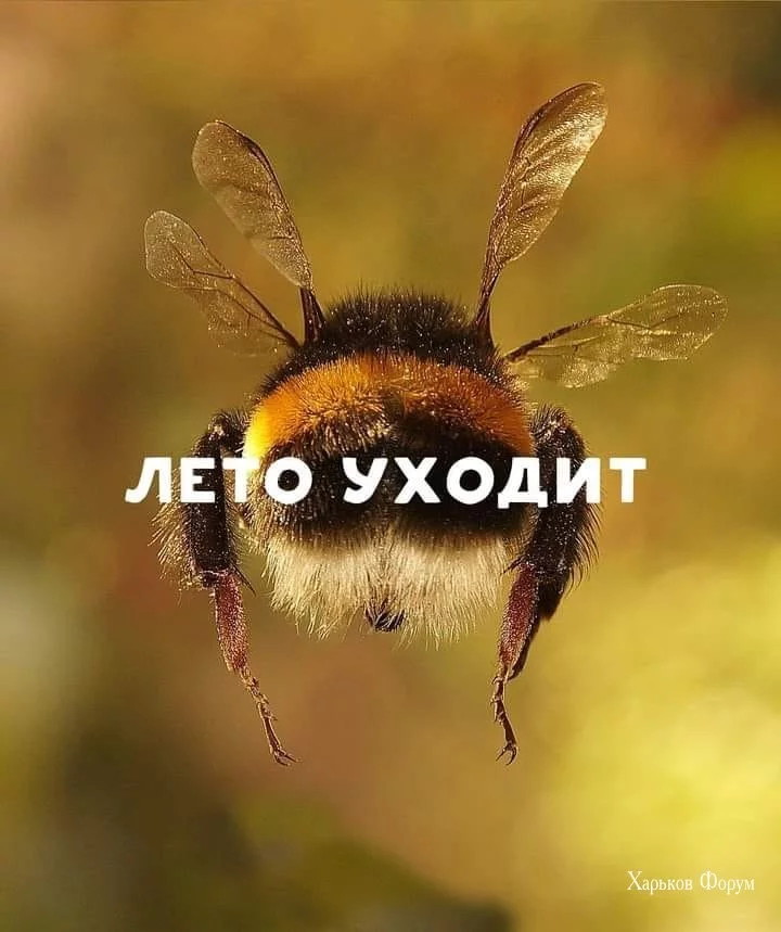 078fd464a6f71b7d5a.webp