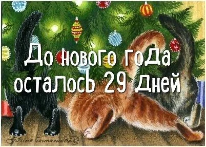 079fe3e8ecc6e0cd8fab5b3b74bb921c.webp
