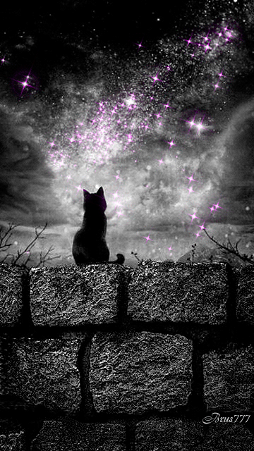 07ab53c373576acbdeecbb0706148269.gif