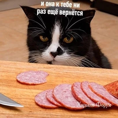 07b616ff443dac804360f6d1.webp