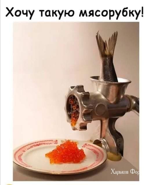 07b8c59a69dc193c3888.jpg