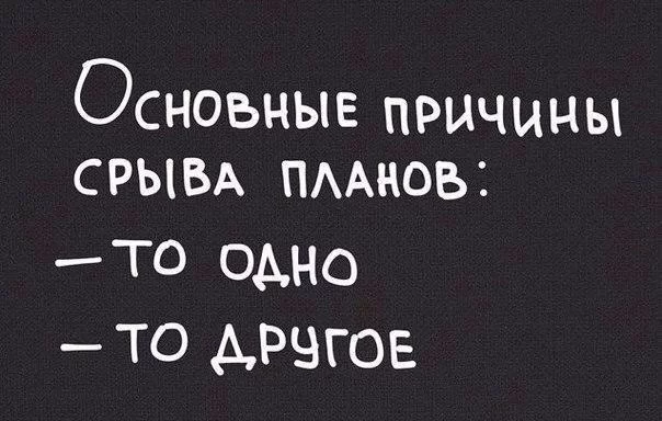 07c4528a7dfec6934d4753a1aaa899ca.webp