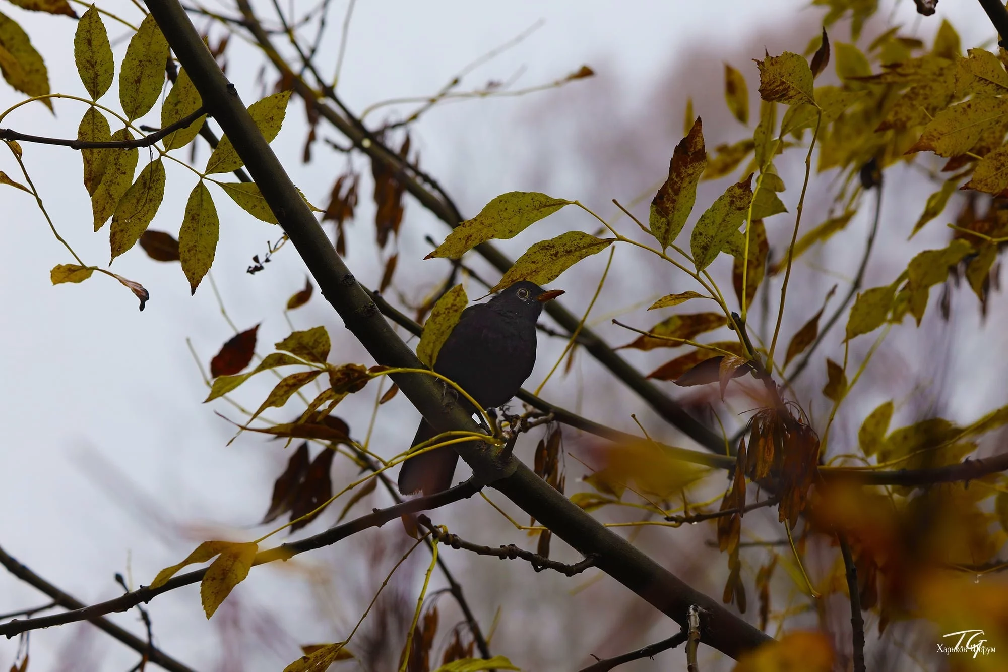 07d149851b6f33b13122.webp