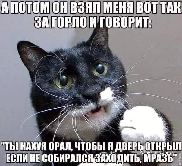07d92590251fbb932.webp