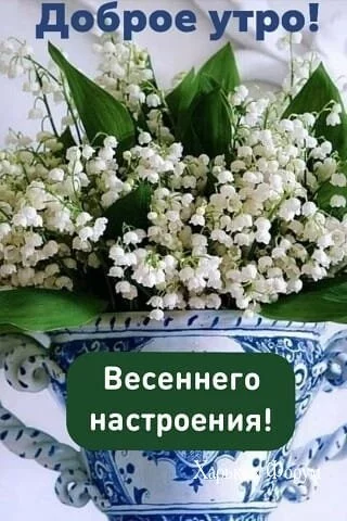 07da6460b9614ad51ae1b80.webp