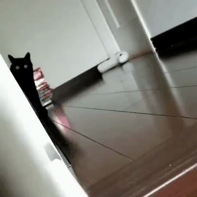 07e900d441c771a980.gif