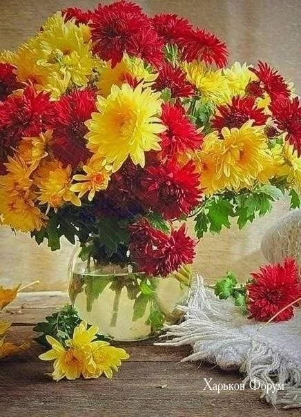 07f3679727cbadb825.webp