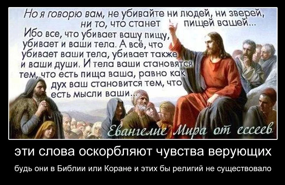 07fe779a3cb70a6440be88a6002557d4.webp