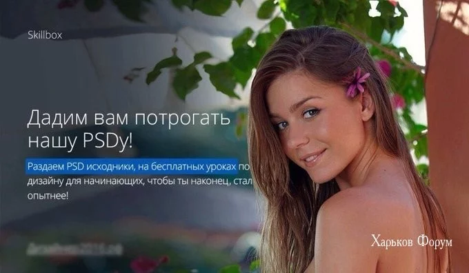 081a99397d3a33ed.webp