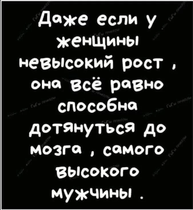 08347526c0c498850de355c0c2edde5d.webp
