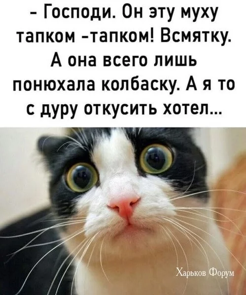 083a0d83653cd81b9.webp