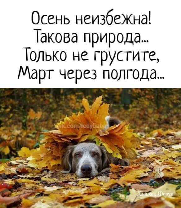 08456c98f3549113dd24bf7e.webp