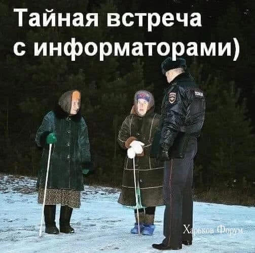 08641a8f5d29eb533ad9.webp