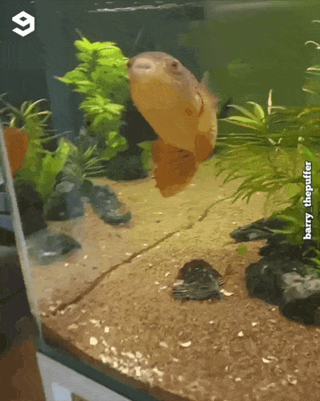 0873752f852f04ca8145a6.gif