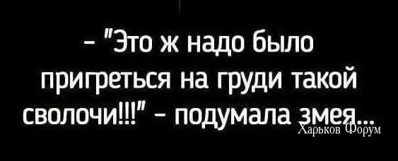 0888e83c1c625208990.webp
