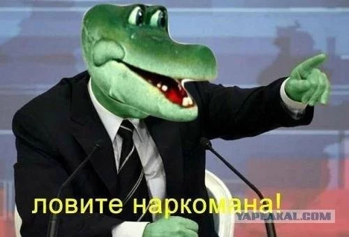 088c084927d5d91624f05a222804e498.webp