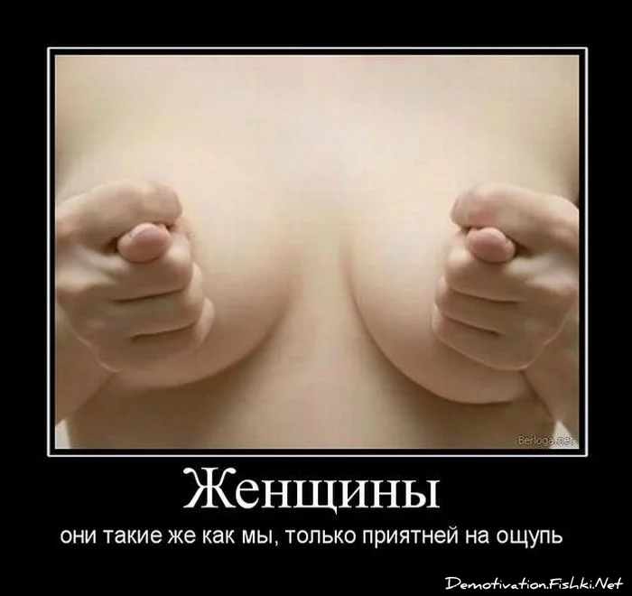 089.webp