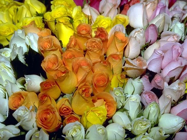 08943.webp