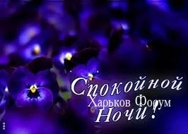 08a4a2118a5401f76e30.webp