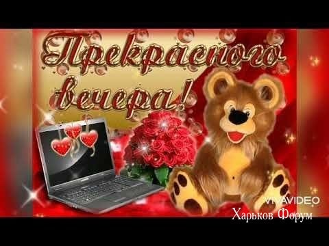 08a6163228fe348843c.jpg