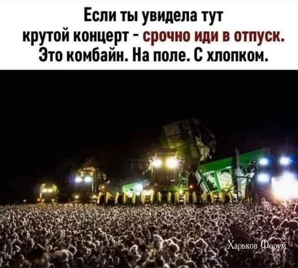 08b99057b50f0588a.webp