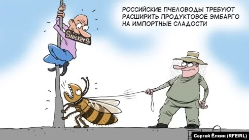 08BAAE12-FA95-4D98-9889-738FEC2A9B37_w491_r1_s.webp