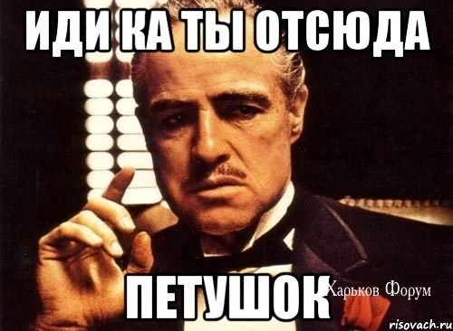 08c860eb44fe0bba20da6.webp