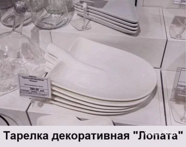 08d8ebda64f2598eef427bc.webp