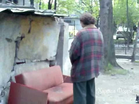 08e78603c519346ed.webp