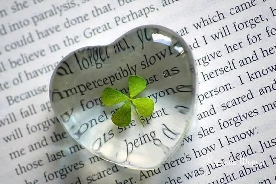 08f0603720a2de5e7b0edc9.webp