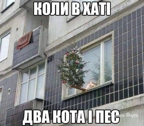 090eea4ccc12c05a6.jpg