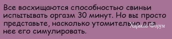 09130a77e89a7c38078f1078.webp