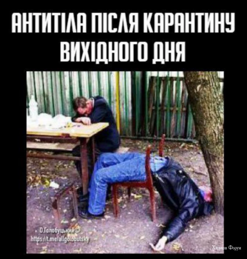 092a6497dbaa8c33d.webp