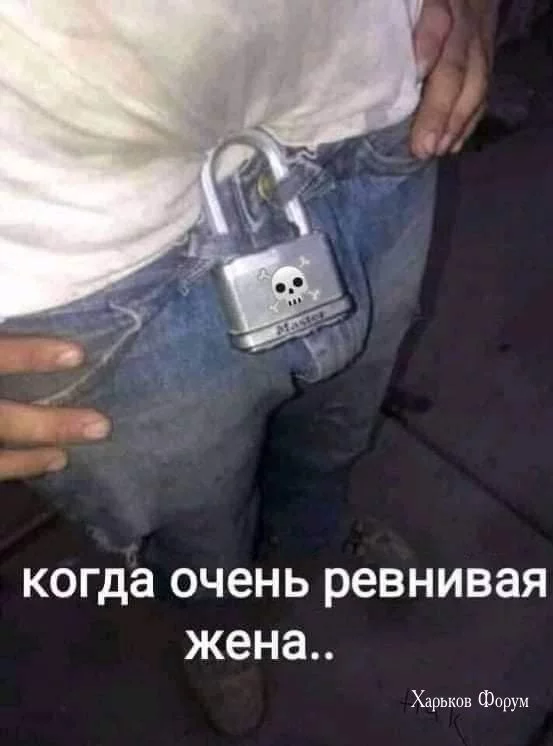 0930f95c3a781ceb.webp