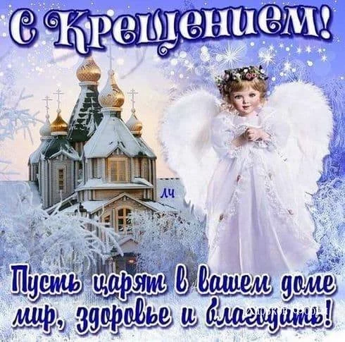 0943acf8bef44e6a69f96a8.webp