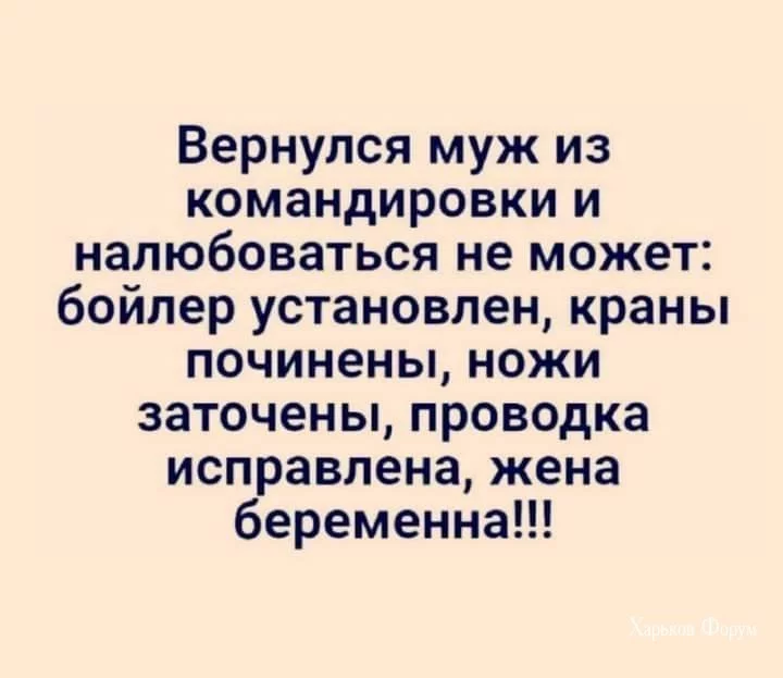 095703f6a45328ad3c.webp
