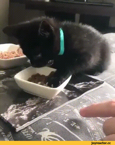 095705cee794063d0728.gif