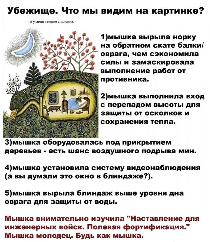 096f730fe7d8f8e93fe8.webp