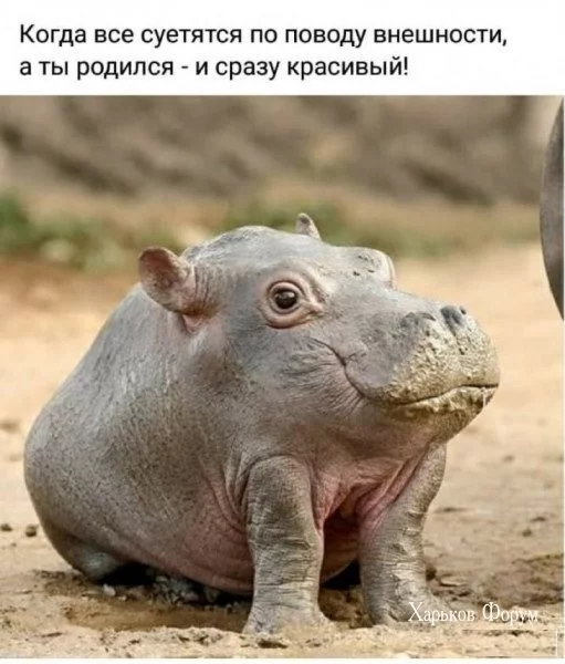 09930c85c1453785a.webp