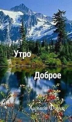09a9c191aaa50b7b8ddd.webp
