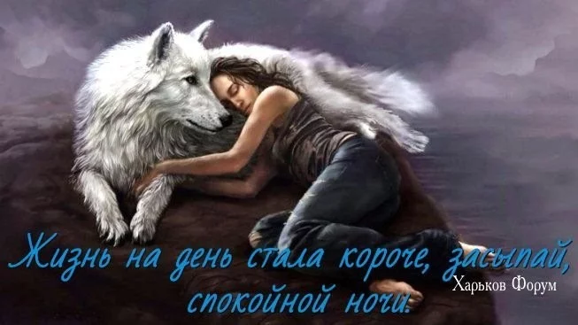 09b3f302f966605a3a1.webp