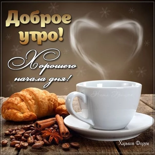 09b5c84b241a139617b47.webp