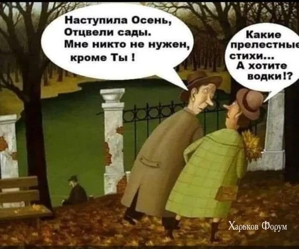09bd03bb8b6c137b9d864.webp