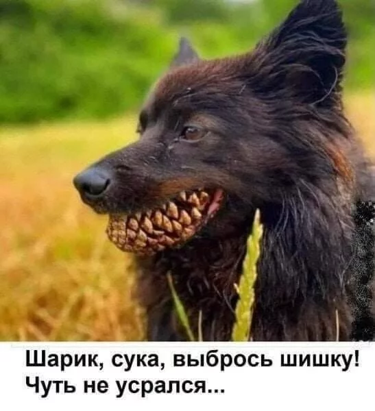 09bf81868fe964a34692f86.webp