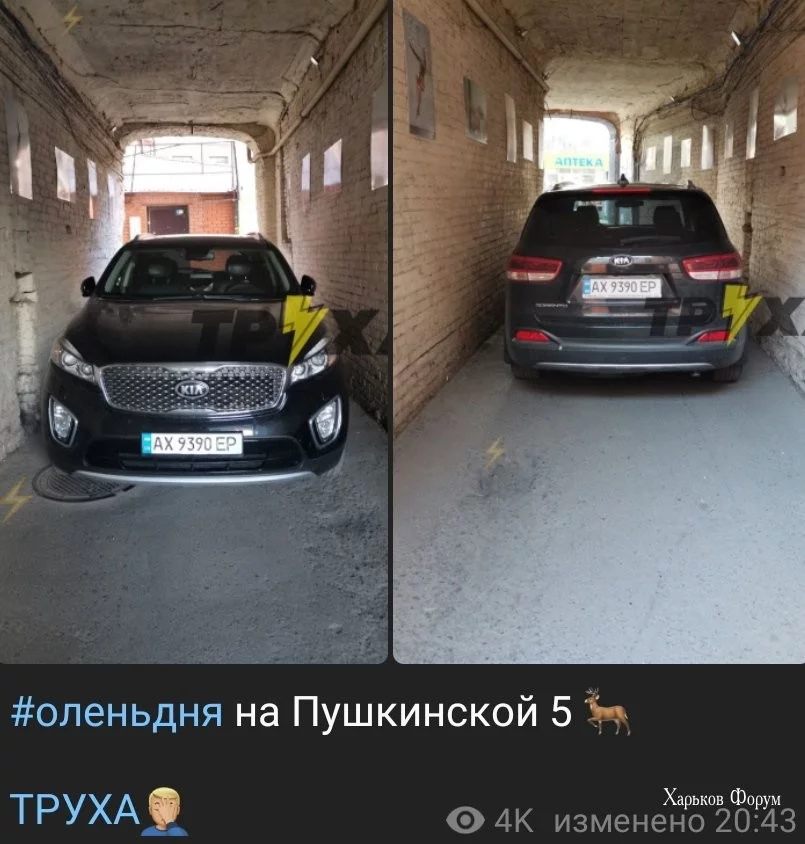 09e3a8db3f0a223c.webp