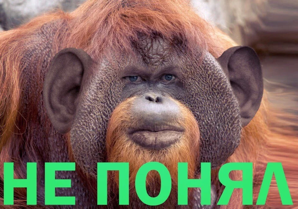 09eb18cc6949a1c08f372ce6f30dd643.webp