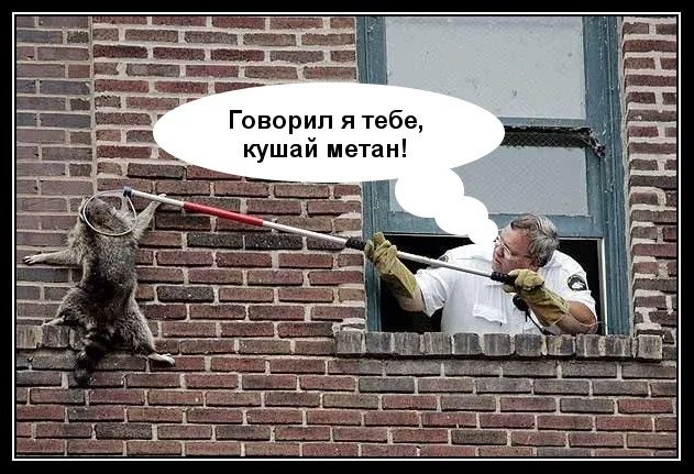 0_2dc2f_4ead9c2_XL.webp